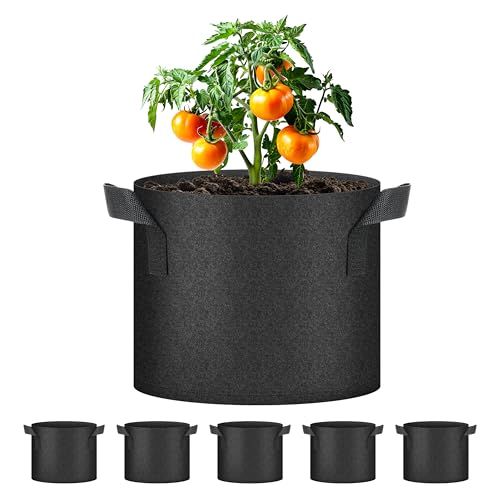 Simple Deluxe Grow Bags 5 Gallon 5 Pack Planter Pots with Handles, Thickened Nonwoven Fabric Aeration Cloth Bag, Heavy Duty Gardening for Tomoato, Potato, Vegetable, Herbs and Flowers, Black - color: 5 Pack, size: 5 Gallon 2025Version