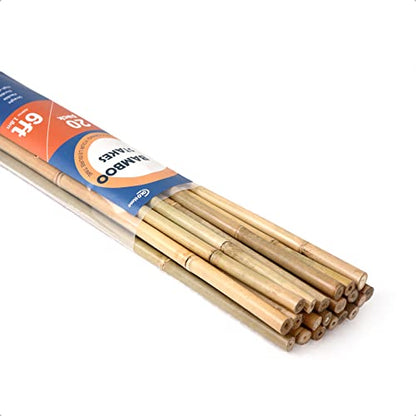 COLOtime Bamboo Stakes 6FT Garden Stakes Plant Poles for Outdoor 20 Pack - size: 6ft, 20 Pack