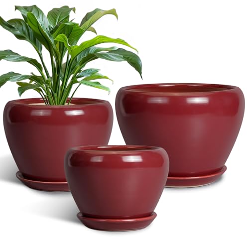 Ceramic Pots for Plants - 10 Inch 8 Inch 6 Inch Plant Pots with Drainage Holes and Saucers Large Planters for Indoor Plants Decorative Outdoor Flower Pots Set of 3 Red - color: Red