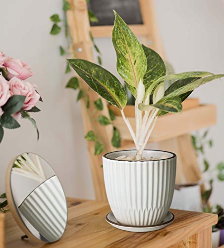 D'vine Dev 2-Pack Stoneware Planter Pots, 4.5/5.8 in, Ivory, 99-D-1 - color: Ivory