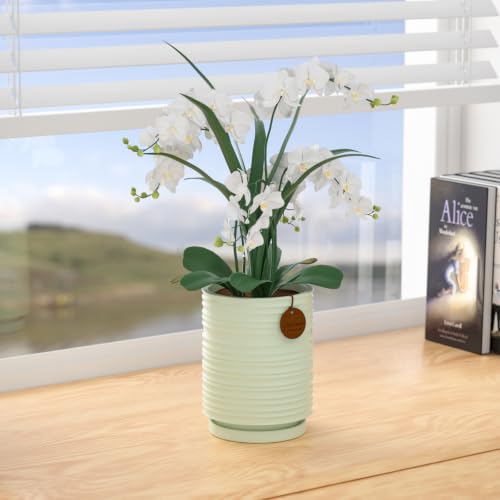 5.1 Inch Light Green Ceramic Planter with Drainage and Saucer - color: Light Green, size: Small