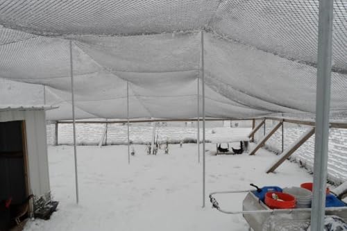 Poultry Netting 1" or 2" Mesh Heavy Knotted Nets Aviary Gamefowl Quail Chicken Bird Block Net Long Lasting Break/Burst 85/245 lb Polyethylene 8-10 Year Lifespan (50' X 100', 1) - size: 50' X 100'