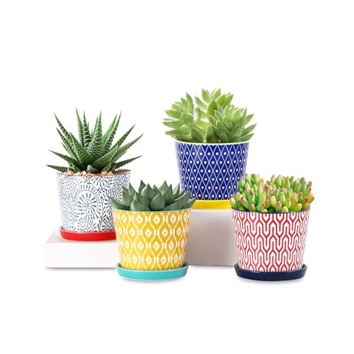 Selamica Ceramic Succulent Pots, 4.3 Inch Small Plant Pots with Drainage Holes and Saucers, Small Flower Pots for Succulent, Cactus, Home Decor, Set of 4, Assorted Colors - color: Assorted Colors, size: 4.3 Inch, Set of 4