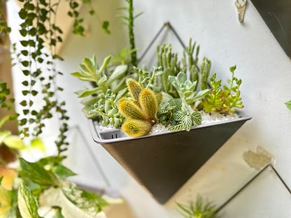 LaLaGreen Indoor Wall Planter (12in, 2 Pack) Black Self Watering Flower Pot - color: Black X 2 Pack