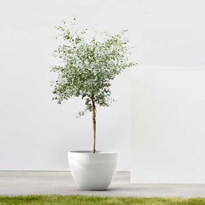 Ecopots Antwerp Round Tapered Flower Planter, Pure White, 12" - color: Pure White, size: 12"