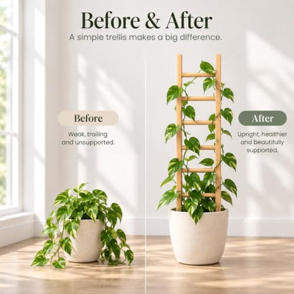 16" Wooden Trellis for Pothos & Climbing Plants - Indoor Support - size: 16" H