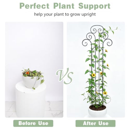 Metal Indoor Plant Trellis for Climbing Plants, 47" Rose & Clematis Support - size: 47"H