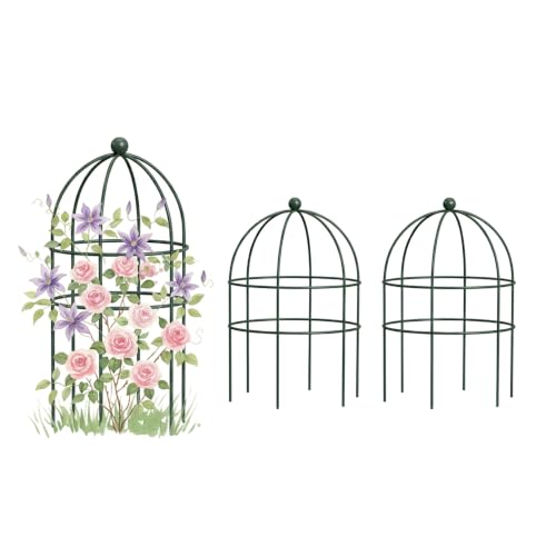 Birdcage Trellis 2 Pack, 24" W Decorative Plant Support for Climbing Flowers and Vines, Metal Peony Support Trellis for Pots, Planters & Small Gardens - size: Large