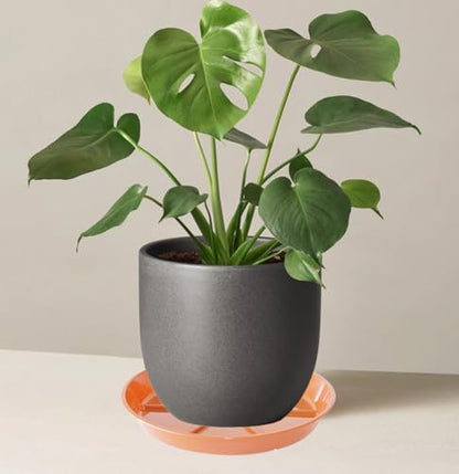 Plant Saucer Pot Tray 8 inch, 6 Packs Flower Planter Saucers and Drip Trays, Terracotta - color: Terracotta, size: 8" - 6 Pack