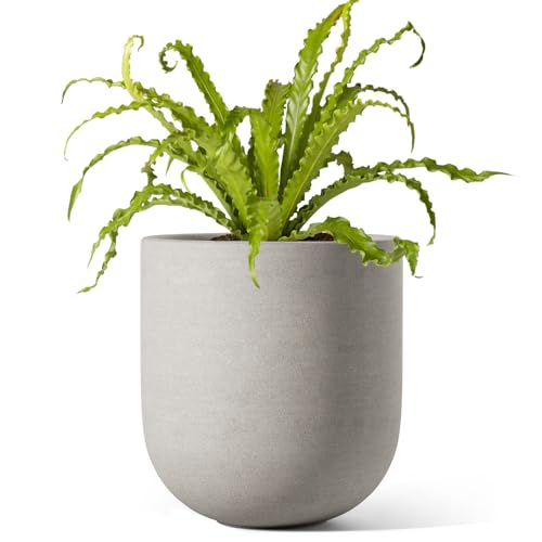 LE TAUCI 6 Inch Ceramic Plant Pot, Small Indoor Planter, Neutral Gray - color: Neutral Gray, size: 6”