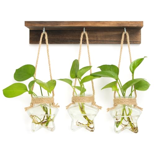 XXXFLOWER Wall Hanging Propagation Station with 3 Star-Shaped Glass Vase - size: 3 Star-Shaped Glass Vases