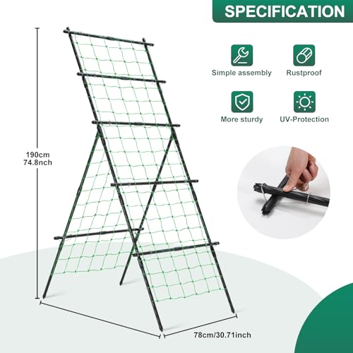 Cucumber Trellis A Frame Garden Trellis 31 x 26 x 75 in - size: 74.8 x 30.71 x 30.71 in, A-Frame, Black