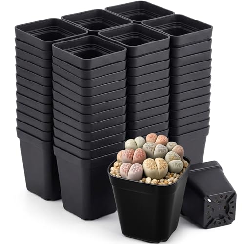 200 Packs Square Nursery Pots for Plants 2.2 Inch Seedling Pots - size: 2.2 Inch
