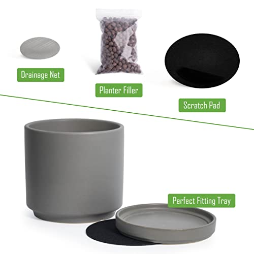 D'vine Dev 2-Pack Ceramic Pots with Saucers, Grey, 6 in, 94-V-C-3 - color: Gray, size: 6 Inch