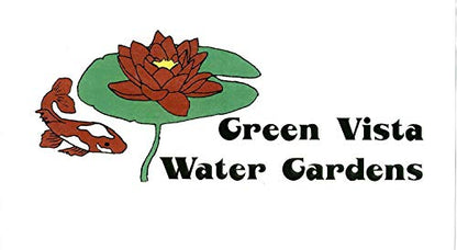Green Vista 1/2 Inch Commercial Quality Bird Barrier Netting 20x10 Feet - Protects Vegetables, Fruit Trees, Berry Shrubs, Flowers - Small Mesh Size, Heavy Duty, UV Resistance, Steel Stakes