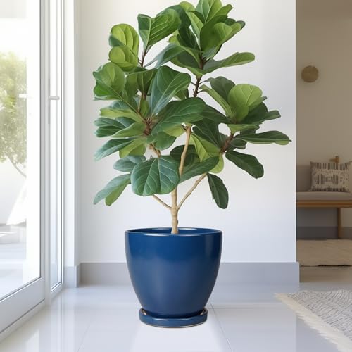 10 Inch Plant Pot - Ceramic Planter with Drainage Hole and Saucer, Modern Flower Pot, Round Planters for Indoor Plants, Home Patio Bathroom Porch Garden Living Room Decor, Blue - color: Matte Blue, size: 10 Inch