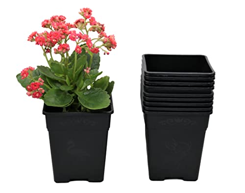 Square Nursery Pot 0.5 Gallon Plastic Planters for Outdoor Indoor Plants 10-Pack with Drainage Holes 5 inch Nursery pots - color: Black, size: 10-Pack 0.5 Gal Square