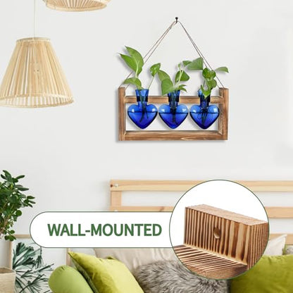 Plant Terrarium Propagation Stations Hydroponics - color: Blue