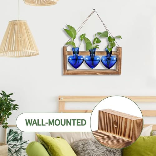 Plant Terrarium Propagation Stations Hydroponics - color: Blue