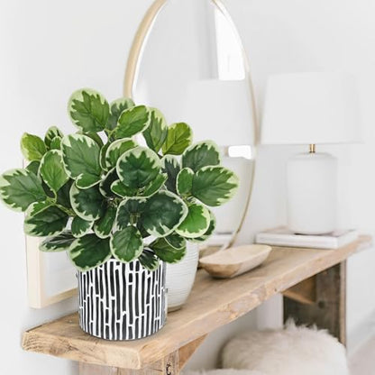 Villa Como 13" Artificial Plants Indoor Small Fake Plant in Ceramic Pot - color: #Green #3