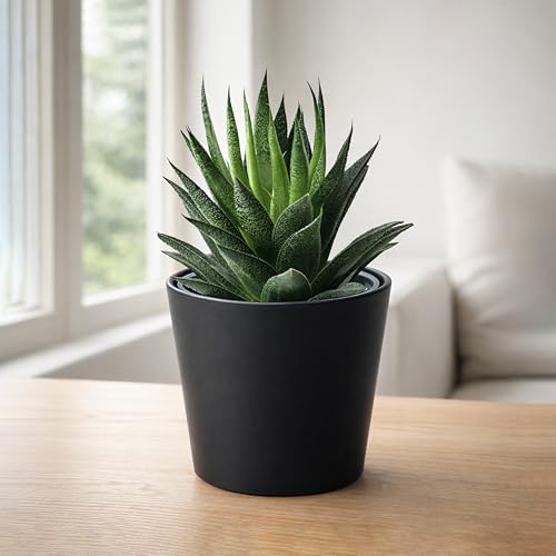Phoenix Vine 4.5 Inch Black Plastic Cachepot with Clear Nursery Pot, Decorative Lightweight Planter Cover with Transparent Inner Pot for Indoor Houseplants, Pack of 8, 24-B-E-8 - color: Matte Black, size: 4.5" (8 Pack)