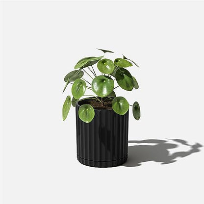 Veradek Demi Series Demi 6" Planter w/Tray, Black - color: Black, size: 6 inch