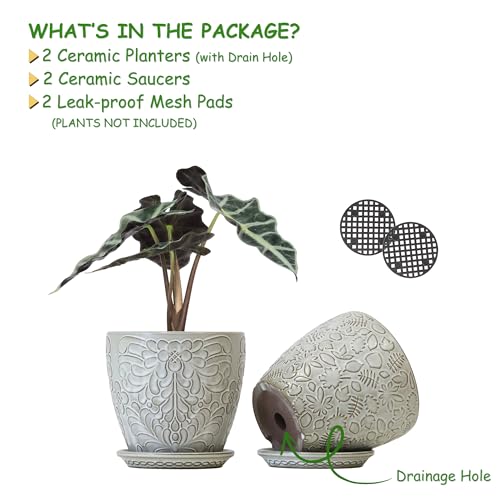 6 Inch Ceramic Planter Pots with Drainage Hole and Saucers for Indoor Plants, Garden Pots for Succulent, Orchid, and Flower - Set of 2 - color: Retro White, size: 6Inches-Set of 2
