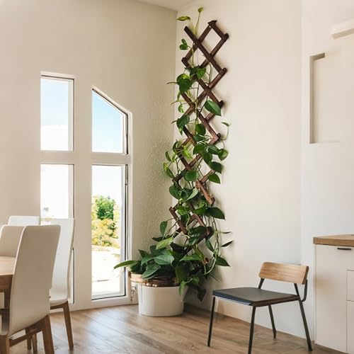 4Pcs Expandable Garden Trellis, 13"x68" Trellis for Climbing Plants Outdoor - size: 13" x 68" 4 Pack