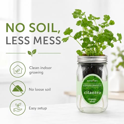 Hydroponic Herb Growing Kit, Self-Watering Mason Jar Window Herb Garden Starter Kit Indoor, Grow Your Own Herbs from Organic Seeds (Cilantro) - color: Cilantro