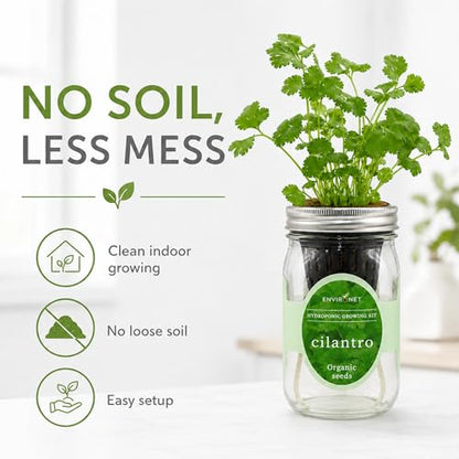 Hydroponic Herb Growing Kit, Self-Watering Mason Jar Window Herb Garden Starter Kit Indoor, Grow Your Own Herbs from Organic Seeds (Cilantro) - color: Cilantro