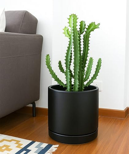 D'vine Dev 2-Pack Ceramic Pots with Saucers, Black, 10 in, 94-V-E-2 - color: Black, size: 10 Inch