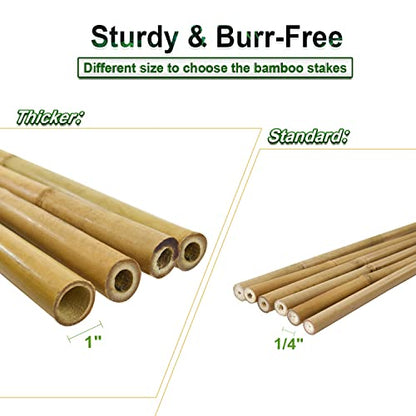 Jollybower 10pcs 1" D Thicker Heavy Duty Bamboo Stakes, 8FT Plant Stakes, Natural Garden Stakes for Tomato, Bean, Flowers,Trees Potted and Climbing Plant Support - size: 8Ft, Pack of 10