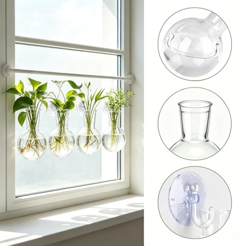 4 Pack Window Propagation Stations, Plastic Plant Terrarium Vases - size: 4 Pcs