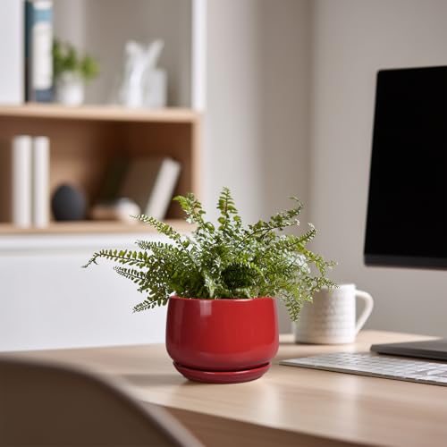 G EPGardening Ceramic Pots for Plants, 4 Inch Succulent Pots, Red - color: Red, size: 4 Inch