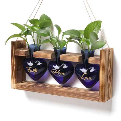 Plant Terrarium Propagation Stations Hydroponics - color: Blue(Faith Hope Love)