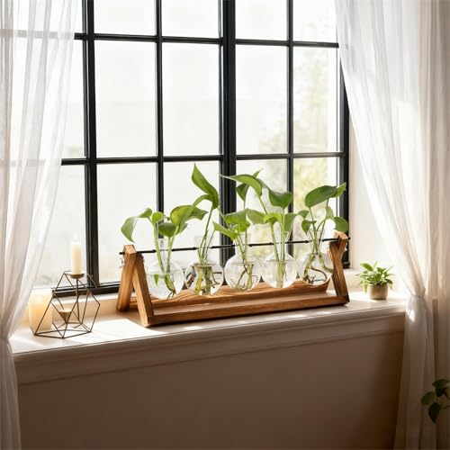 Renmxj Plant Propagation Stations with Wooden Stand & 5 Glass Bulb Vases - size: 5 Bulb Vase