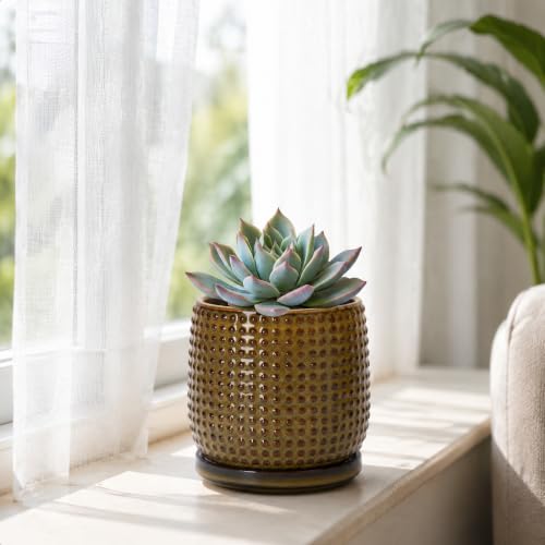 D'vine Dev Beaded Ceramic Pot with Saucer, 4 in, Olive Bronze, 27-C-Z-N - color: Olive Bronze, size: 4.3 Inch