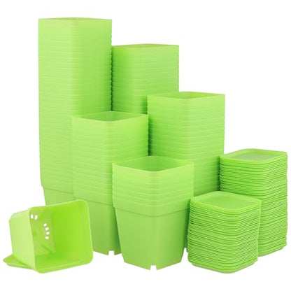 HOIGON 100 Pack 3 Inch Green Square Nursery Pot, Durable Thickened Plastic Nursery Pots with Drain Holes and Saucers, Small Square Planting Containers for Flower Tomatoes Basil - color: Green