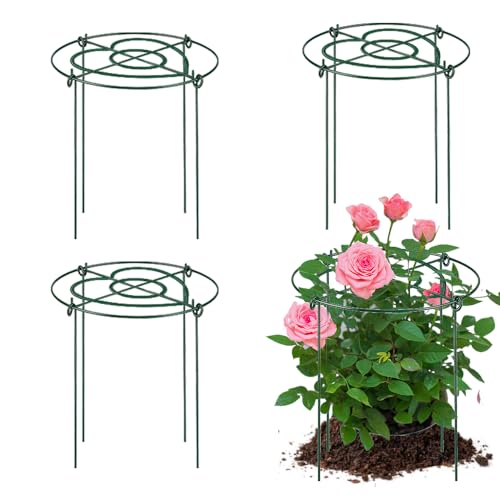 Peony Cages and Supports Pack 3 PCS,15.8" Dx23.6 H Heavy Duty Plant Support Cage Set for Hydrangeas, Roses and Tomatoes,– Garden Stakes & Plant Cages for Outdoor Plants(15.8" Wx23.6 H-3 Pack) - size: 15.8" Wx23.6" H-3 Pack