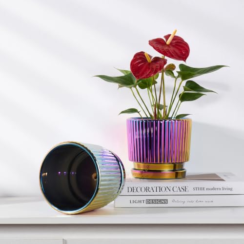STHIE Purple Gold Ceramic Planters,Plant Pots with Drainage Holes Set of 2 - color: 01-brightly Black
