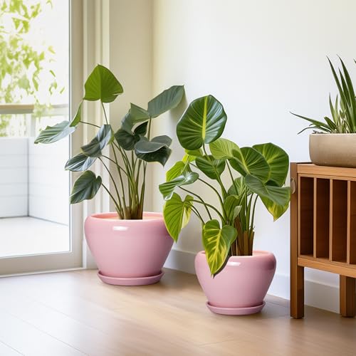 Ceramic Planters, 10+8+6 Inch Ceramic Plant Pots Indoor, Pink - color: Pink