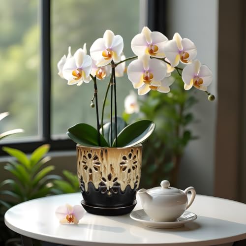 6 inch Orchid Pots with Holes Brown Black Ceramic Orchid Pot for Repotting - color: Brown&black