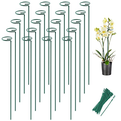 20 Pack 24 Inch Plant Support Stakes for Outdoor Plants and Indoor Flowers - size: 24 inch