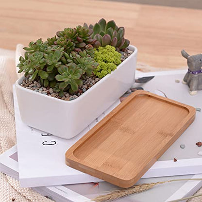 White Ceramic Succulent Plant Pots, 1 Rectangular Flower Pot + 1 Round Planter, Set of 2 Small Cactus Container, Bonsai Pots, Succulent Pots with Drainage Hole& Bamboo Tray (No Plant) - color: Rectangular+round