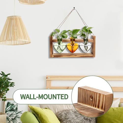 Plant Terrarium Propagation Stations Hydroponics - color: Color 4