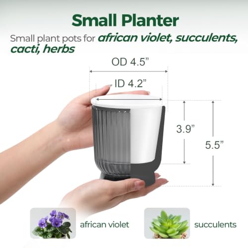 T4U Self Watering Pots for Indoor Plants 4.5 Inch 4 Pack Planter Gray - color: Translucent Gray, size: 4.5 Inch