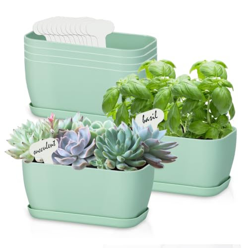 Oliz 6 Set Window Herb Planter Box Rectangular, Green Plastic Planters with Multiple Drainage Holes and Trays,Indoor Succulent Cactus Mint Flower Pot for Windowsill, Garden Balcony - color: Green