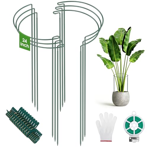 Unves 6 Pack Peony Cages and Supports, 24" x 10" Plant Support Stakes - size: 10" W x 24" H