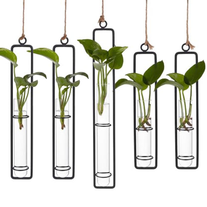 5 Sets Hanging Glass Propagation Station, 3 Styles Iron Frame Transparent Test Tube Plant Vases Wall Mounted Hydroponic Planters for Outdoor Indoor Balcony Home Decor
