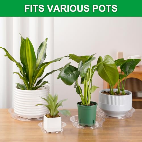 CATIFLIN 24 Pack Clear Plant Saucers - 6, 8, 10, 12 Inch Plastic Plant Trays for Pots, Flower Pot Saucers, Indoor & Outdoor Planter Drip Tray for Water Drainage & Protection - size: 6",8",10",12"- 24 Pack